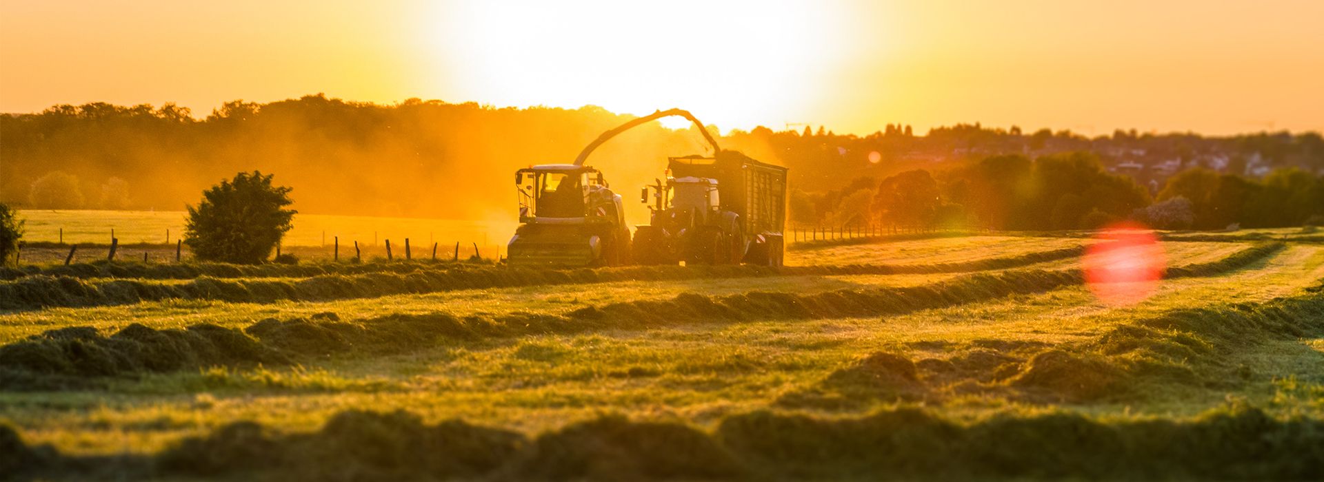 Landmaschinen auf Feld bei Sonnenuntergang